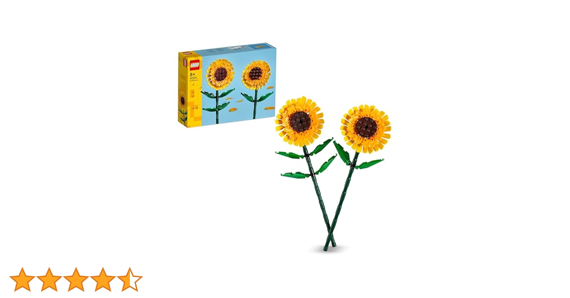 41WvVF0SkuL.jpg_BO30,255,255,